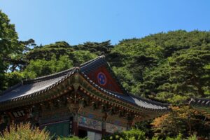 Read more about the article Putovanje kroz kulture s Anglom – Južna Koreja